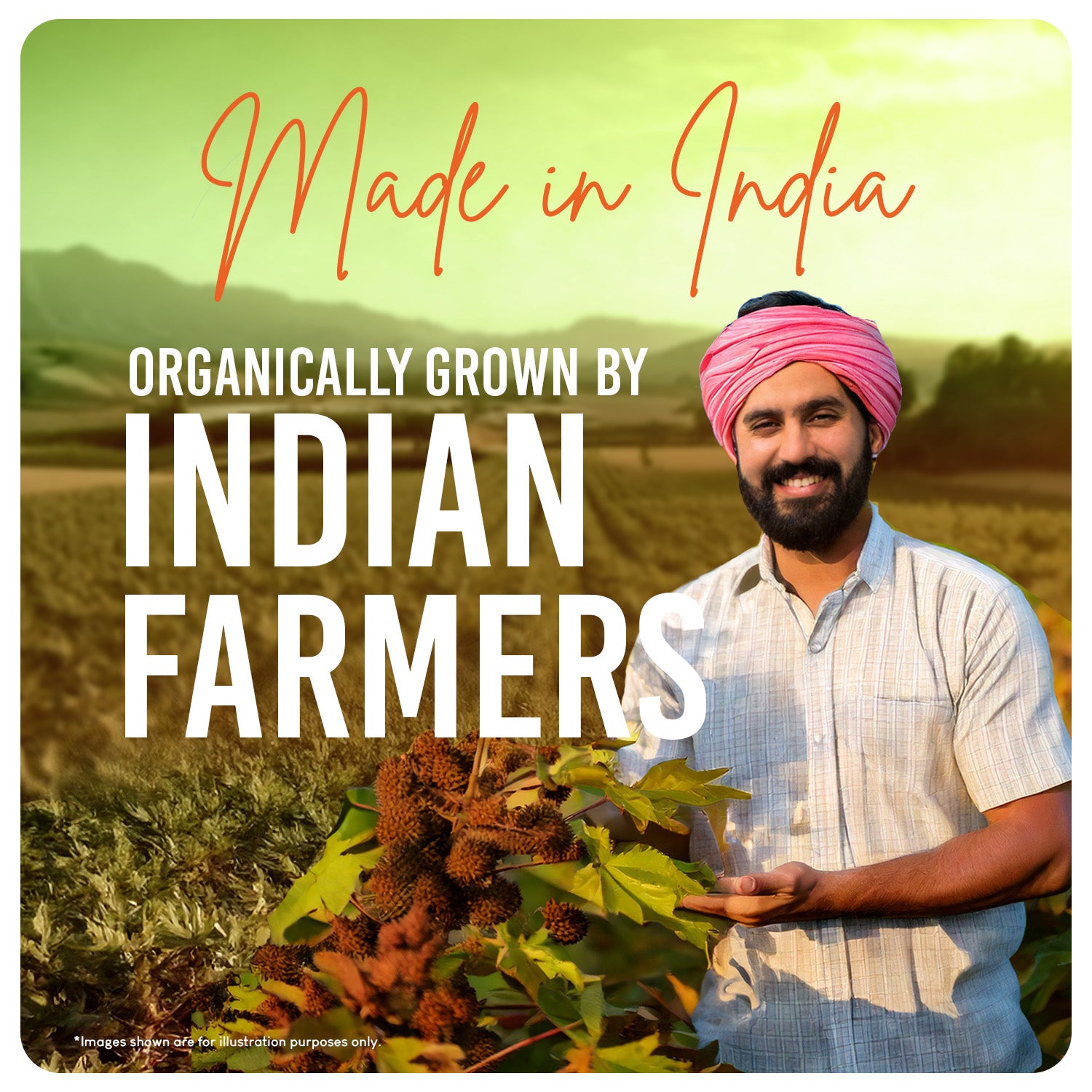 Indian farmer showcasing organically grown castor plants used in Careberry Organic Castor Oil – Made in India, ethically sourced.