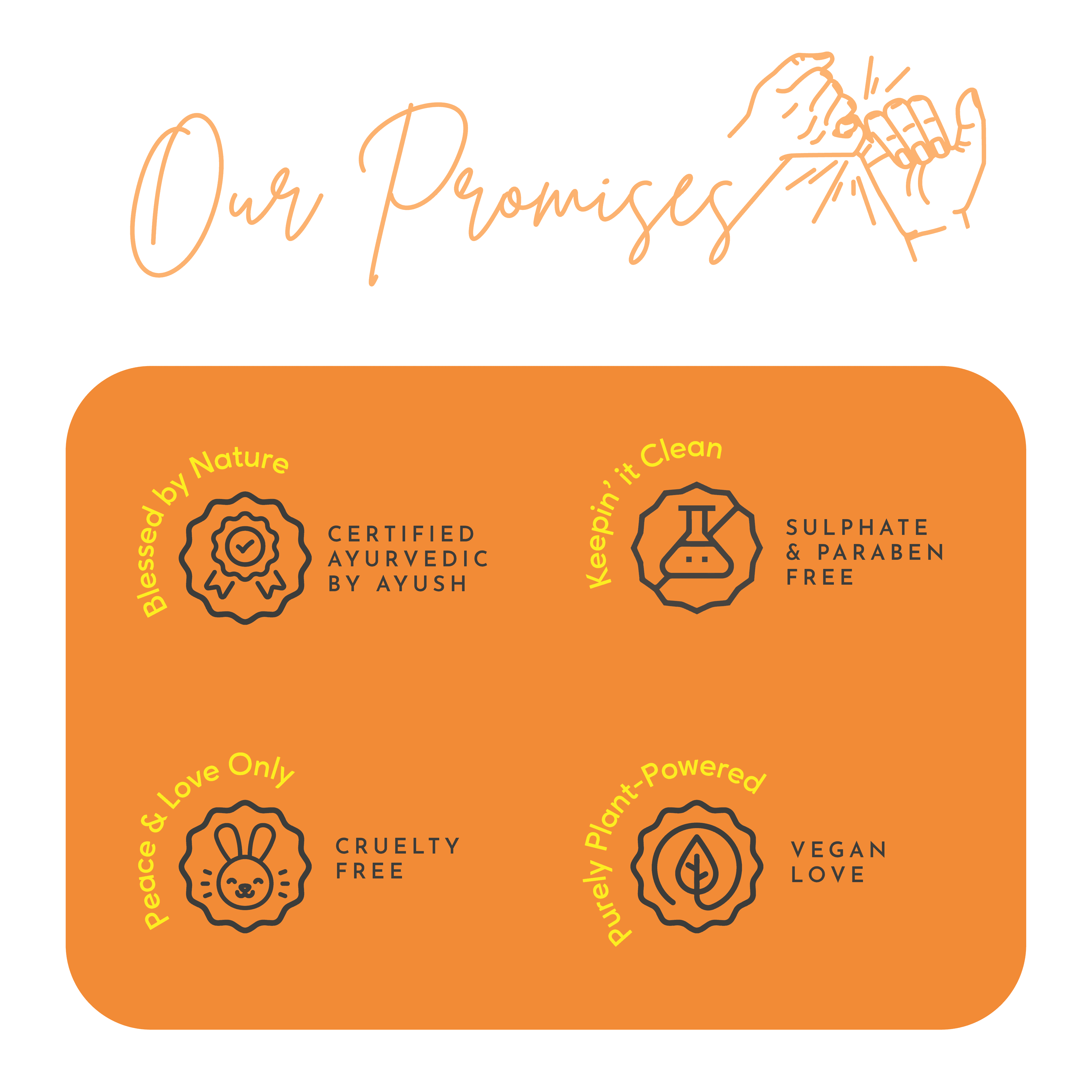 Careberry Golden Berry & Gold Dust face wash infographic highlighting 100% natural, niacinamide, salicylic acid, and gold dust benefits.