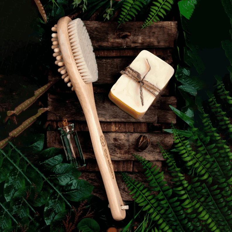 Careberry cream boxed natural body brush with wooden handle and dual natural bristles displayed on white background.