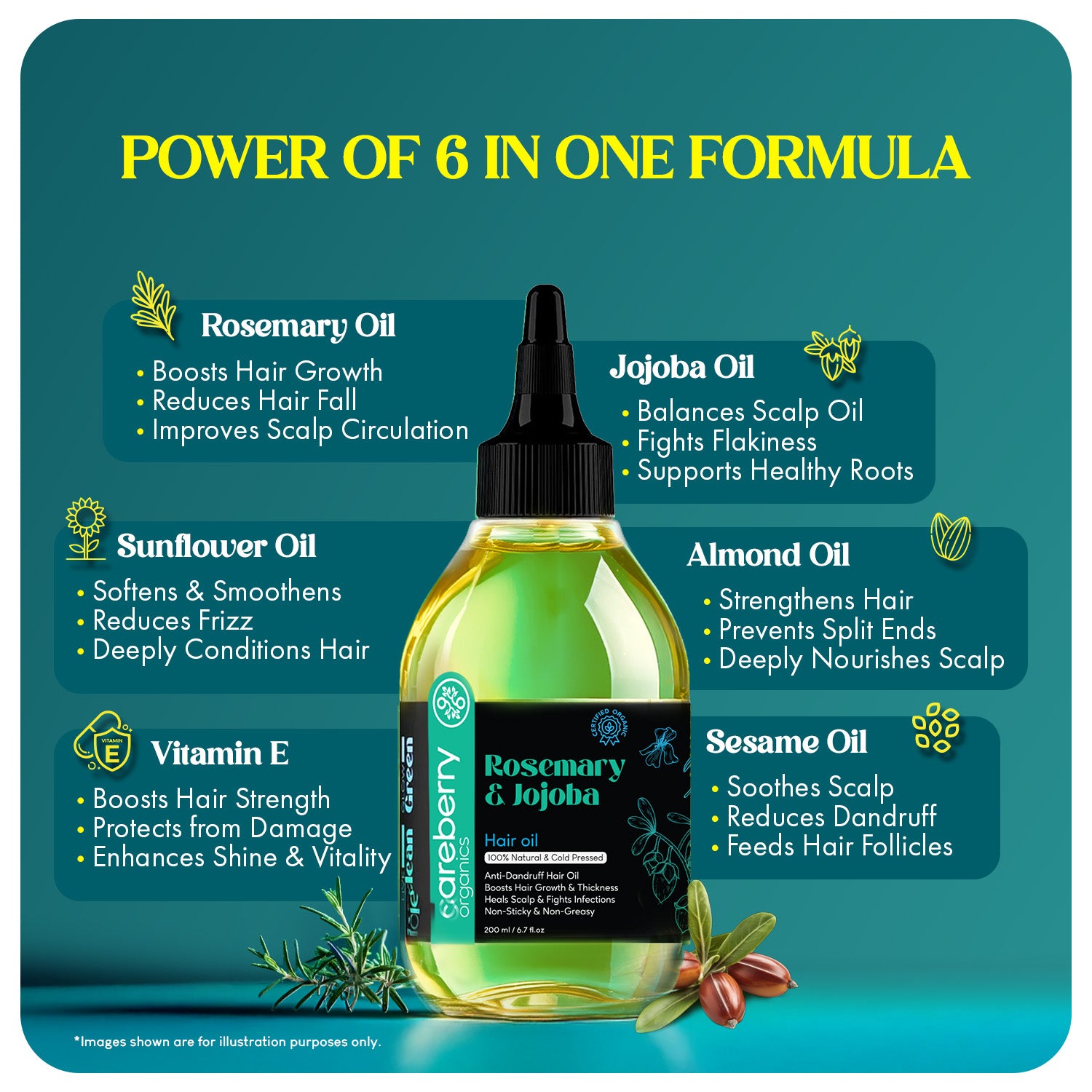 Ingredient breakdown showing rosemary oil, jojoba oil, almond oil, sunflower oil, sesame oil, and vitamin E used in Careberry Hair Oil for hair growth, dandruff control, and scalp nourishment.